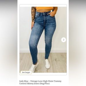 16W Judy Blue Skinny Jeans